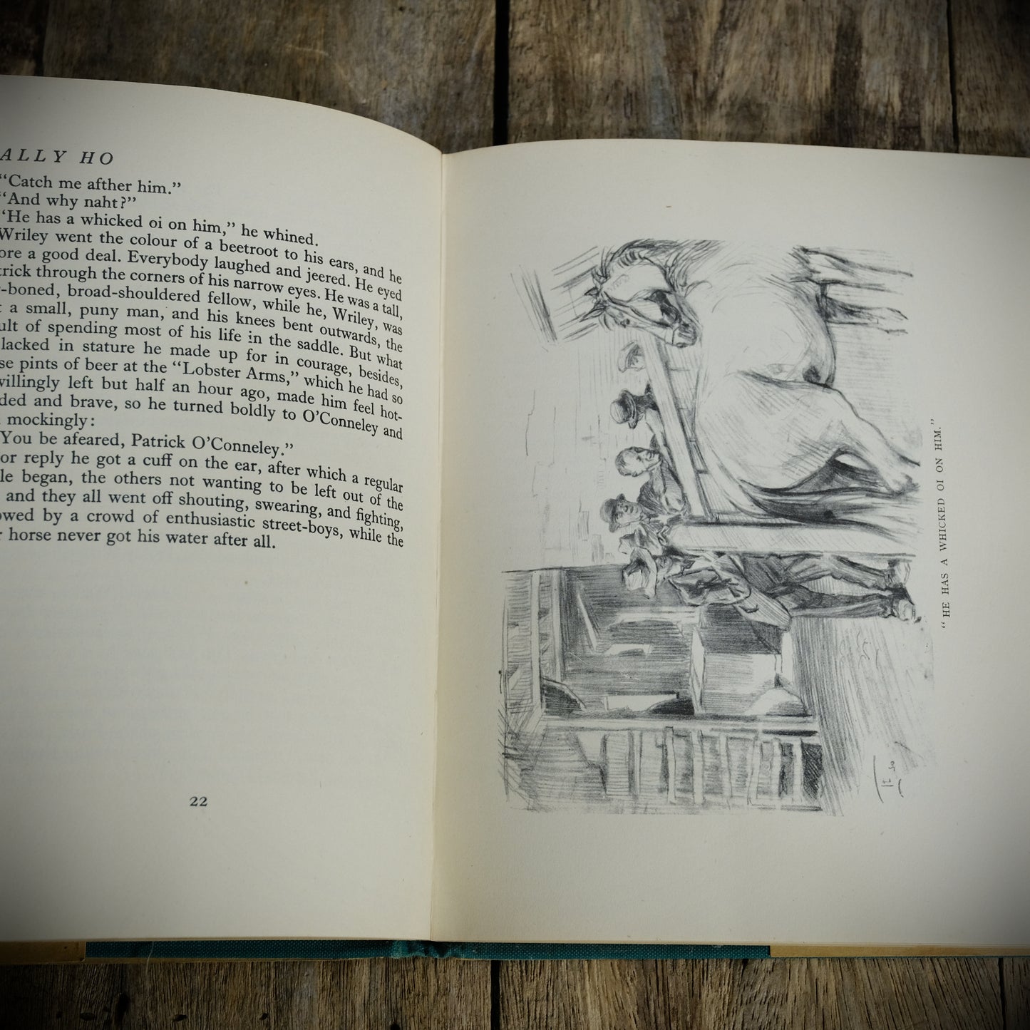 Tally Ho: The Story of an Irish Hunter, Moyra Charlton, Lionel Edwards, 1948 Hardcover, For the Horse/Pony Lover
