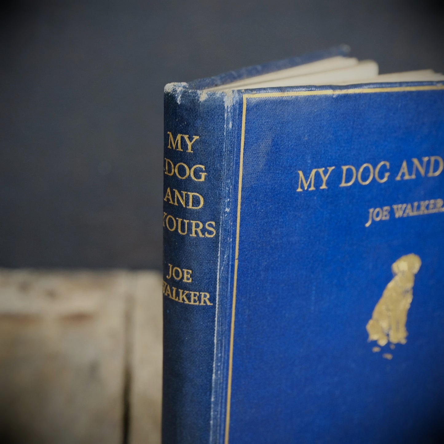 My Dog and Yours, Joe Walker, G L Stampa, 1929 2nd imp Hardcover, Poetry for the Dog Lover
