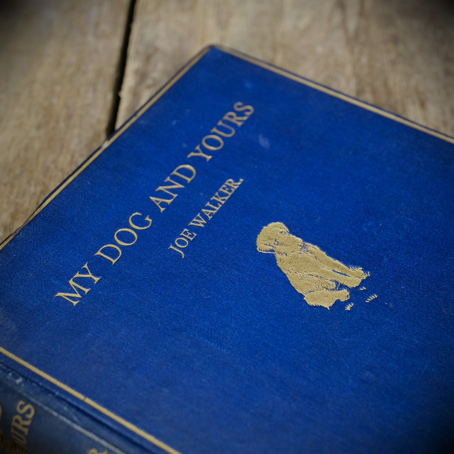 My Dog and Yours, Joe Walker, G L Stampa, 1929 2nd imp Hardcover, Poetry for the Dog Lover