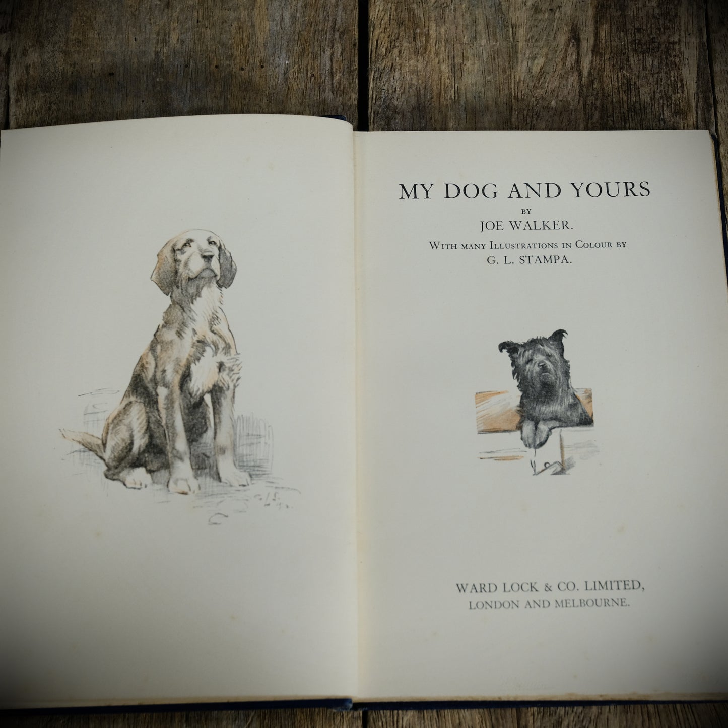 My Dog and Yours, Joe Walker, G L Stampa, 1929 2nd imp Hardcover, Poetry for the Dog Lover