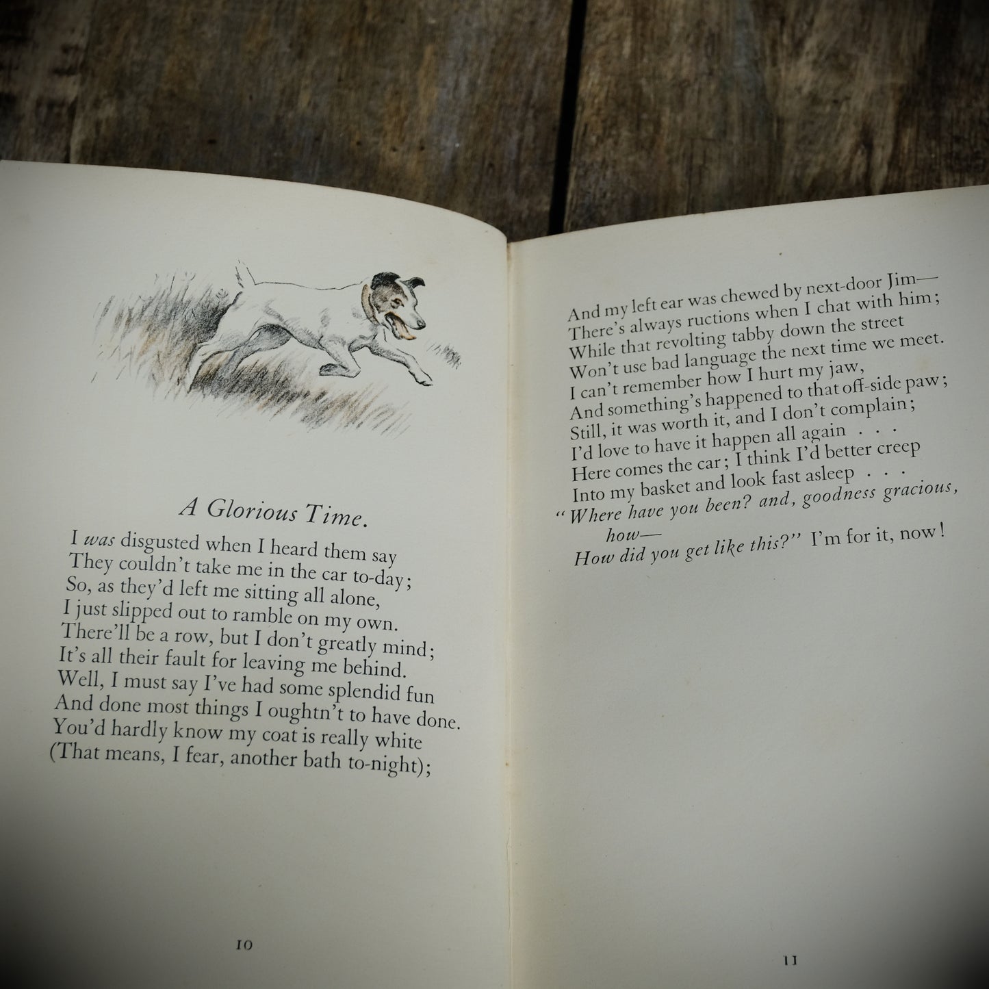 My Dog and Yours, Joe Walker, G L Stampa, 1929 2nd imp Hardcover, Poetry for the Dog Lover