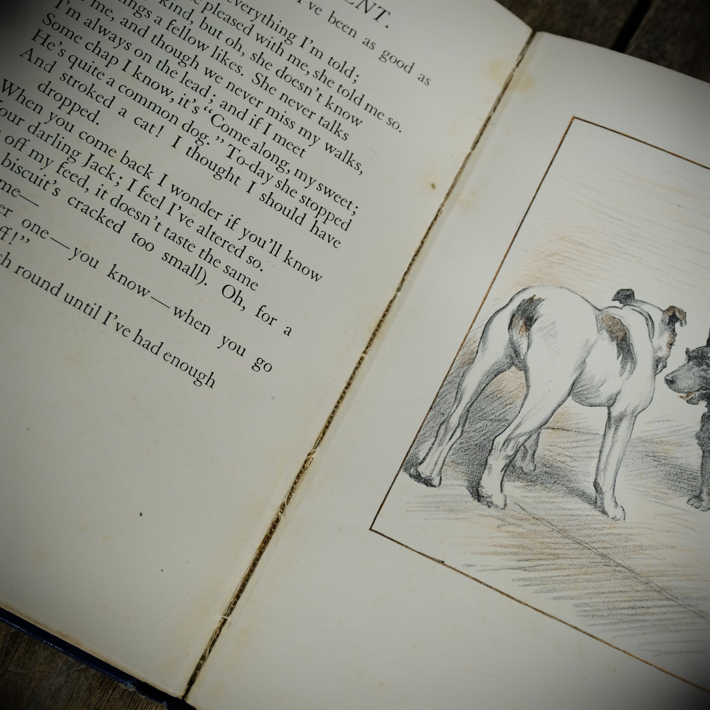 My Dog and Yours, Joe Walker, G L Stampa, 1929 2nd imp Hardcover, Poetry for the Dog Lover