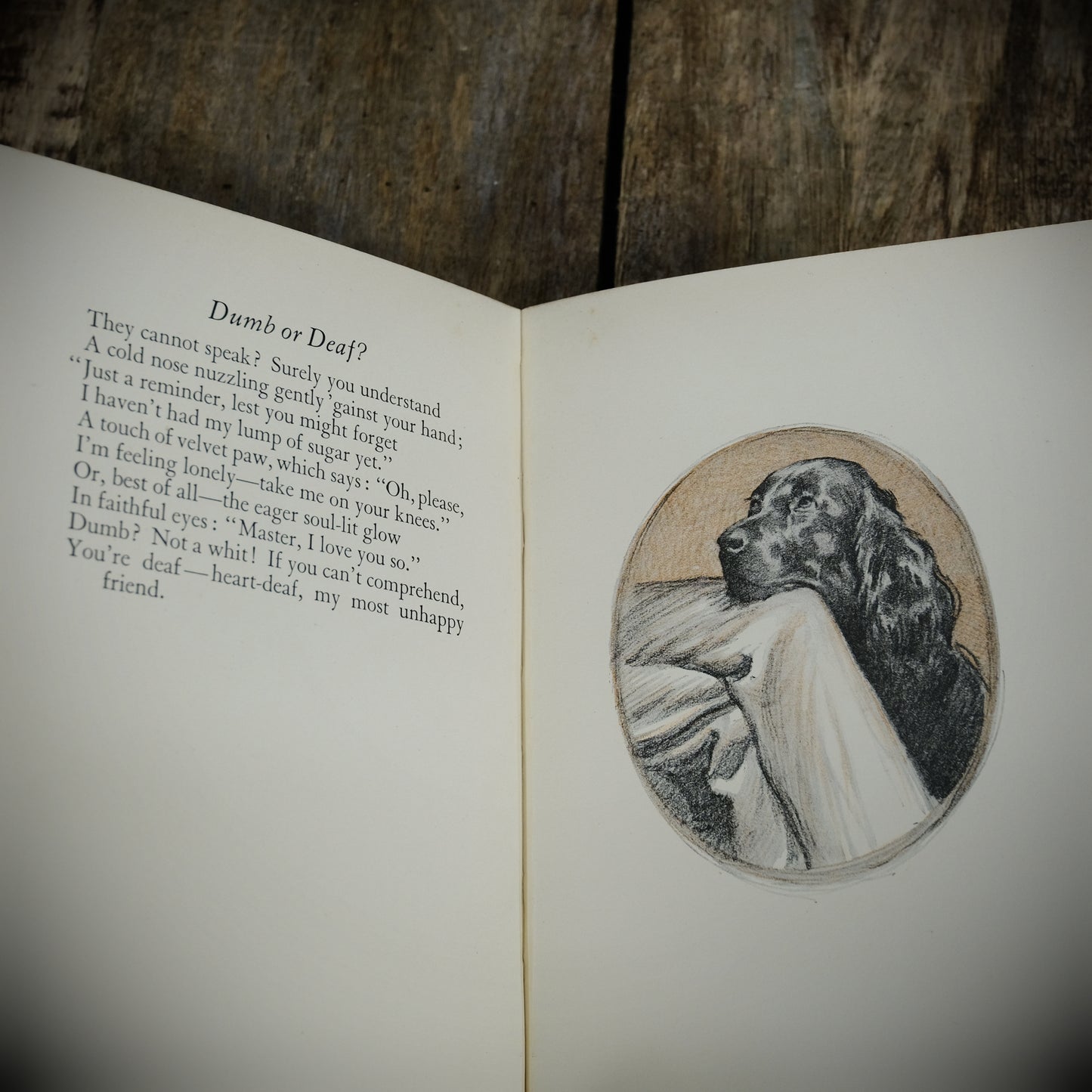 My Dog and Yours, Joe Walker, G L Stampa, 1929 2nd imp Hardcover, Poetry for the Dog Lover