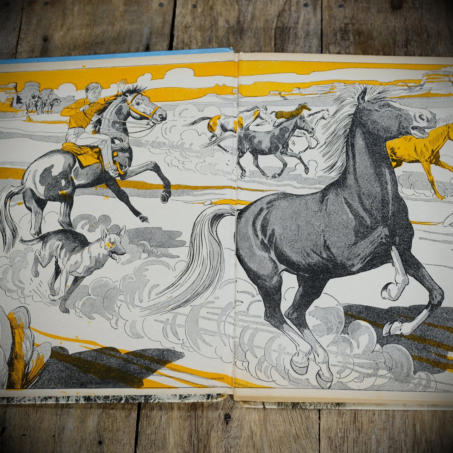 Champion the Wonder Horse, Daily Mirror 1958, Vintage Children's Hardcover