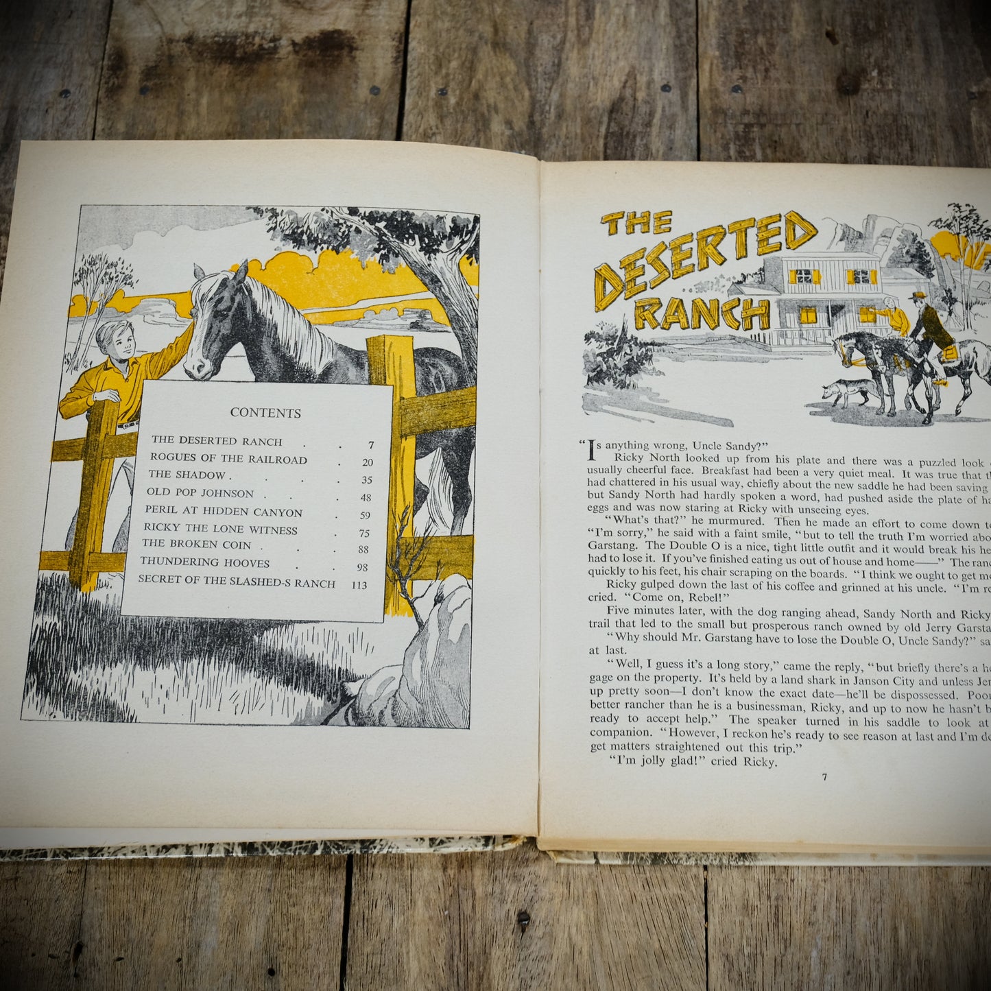 Champion the Wonder Horse, Daily Mirror 1958, Vintage Children's Hardcover