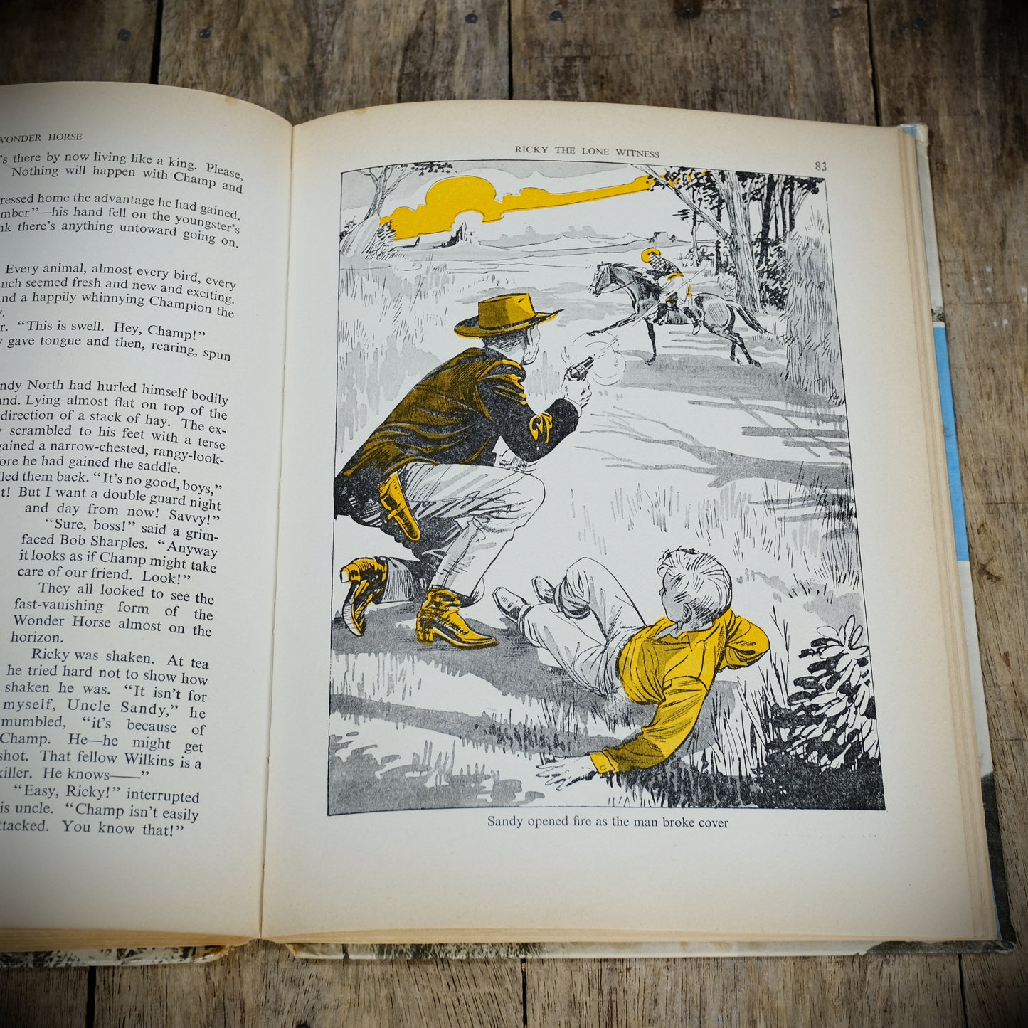 Champion the Wonder Horse, Daily Mirror 1958, Vintage Children's Hardcover