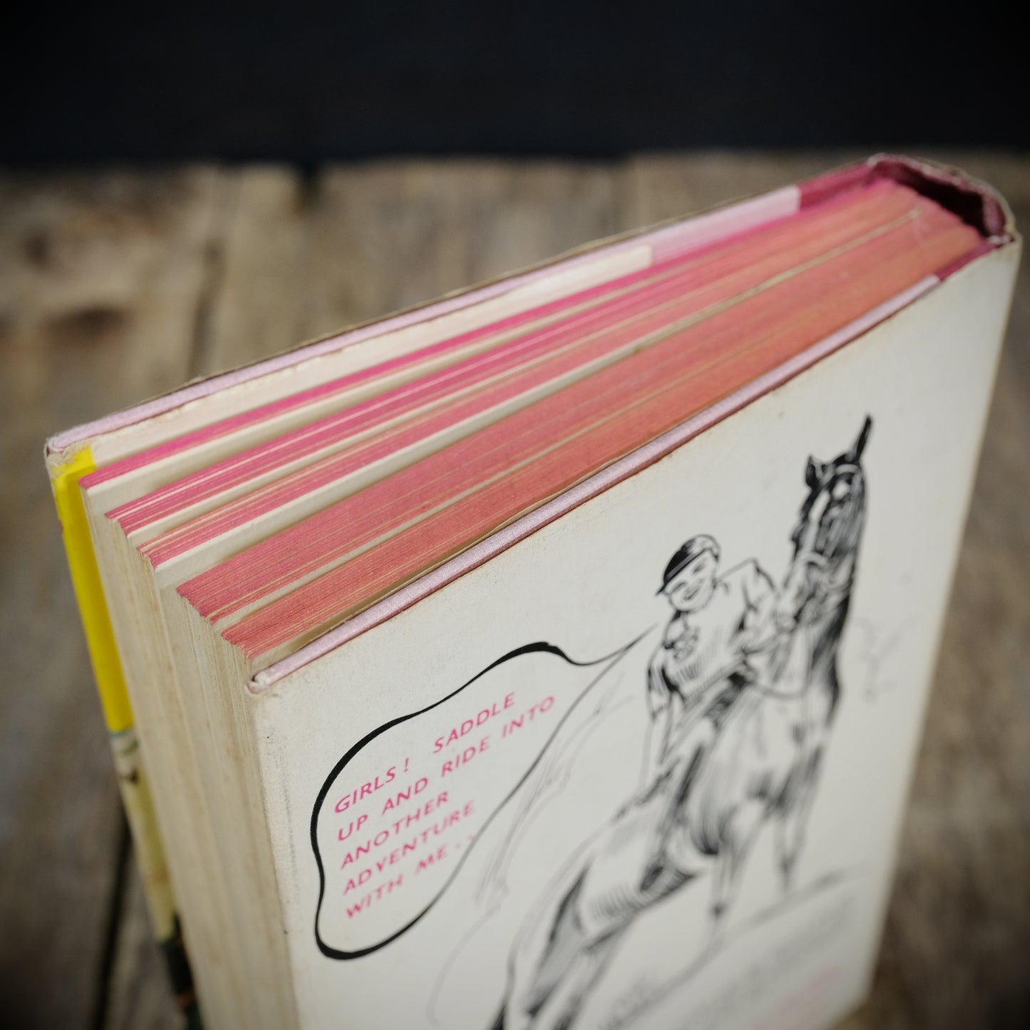 Kit Hunter Show Jumper in Fiesta for Wild One, Peter Grey, 1960 Children's Hardcover