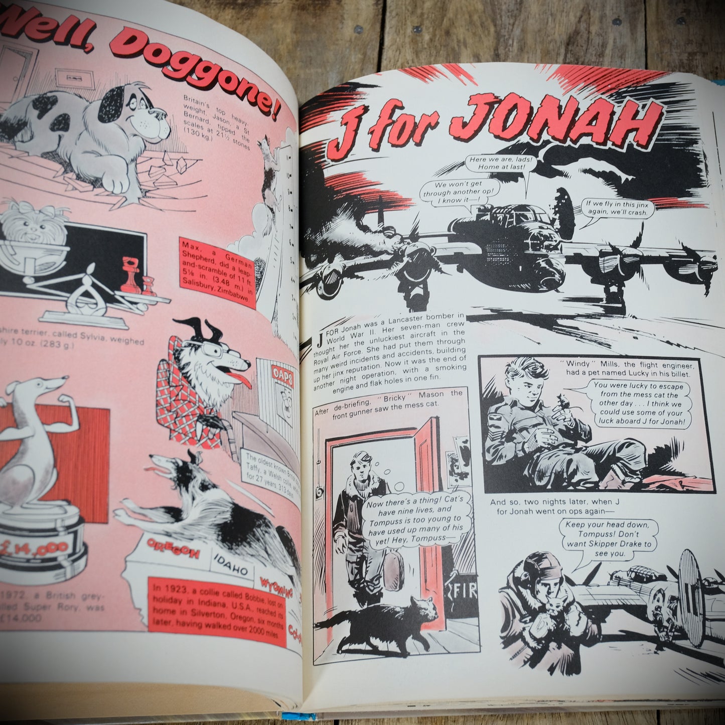 The Hotspur Book for Boys, 1984 Annual, Hardcover