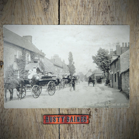 Postcard, Forge Valley, Baiting at Ayton, Horse & Carriage, Printed