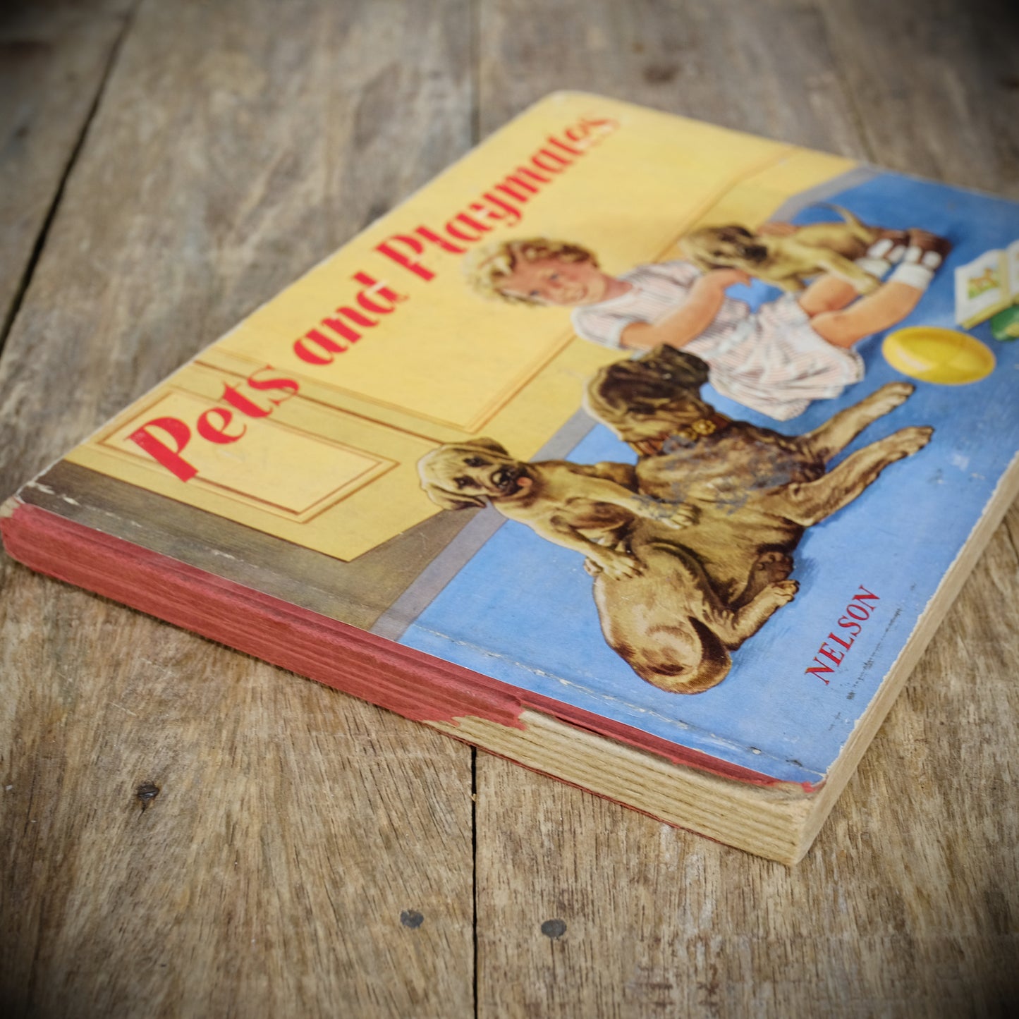 Vintage Children's Board Book, Pets and Playmates, Beautiful Illustrations, Hercules/Thomas Nelson