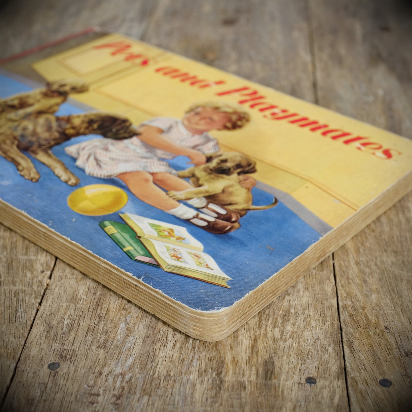 Vintage Children's Board Book, Pets and Playmates, Beautiful Illustrations, Hercules/Thomas Nelson