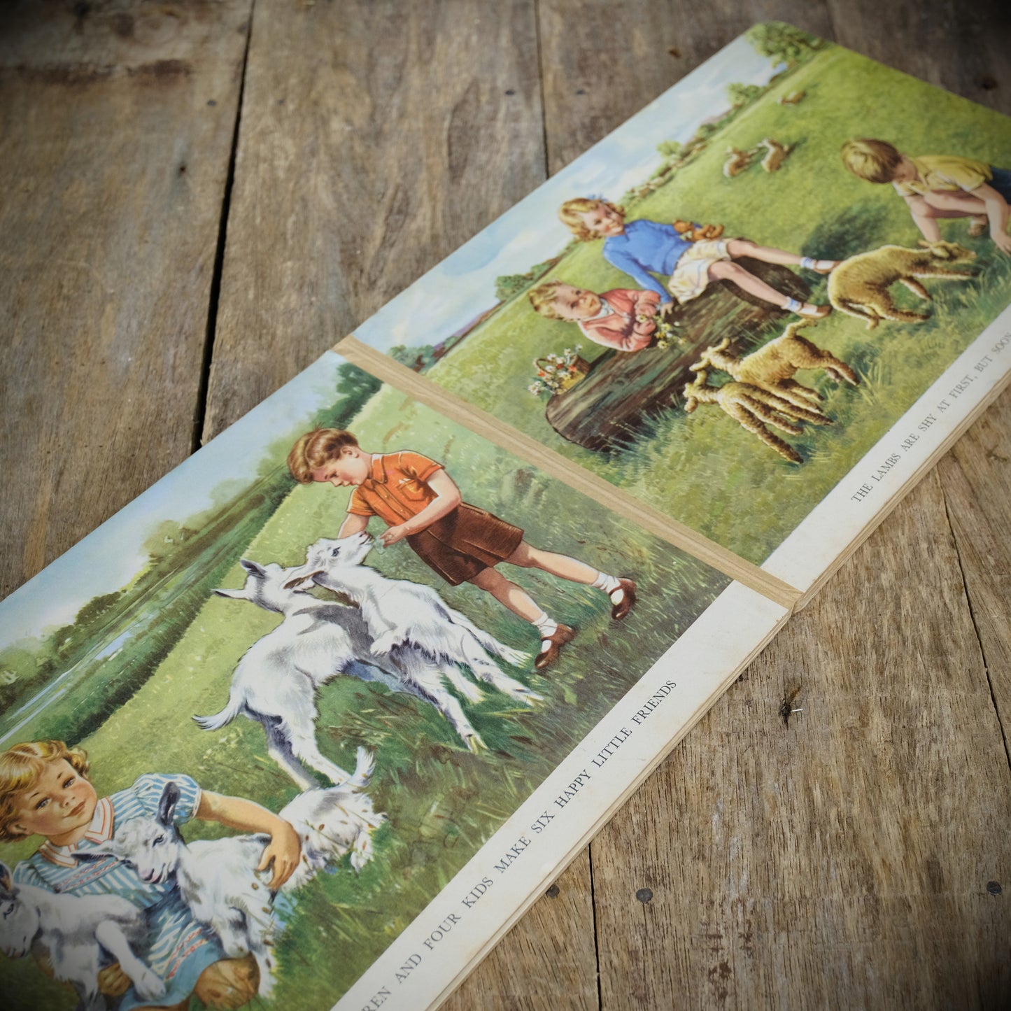 Vintage Children's Board Book, Pets and Playmates, Beautiful Illustrations, Hercules/Thomas Nelson