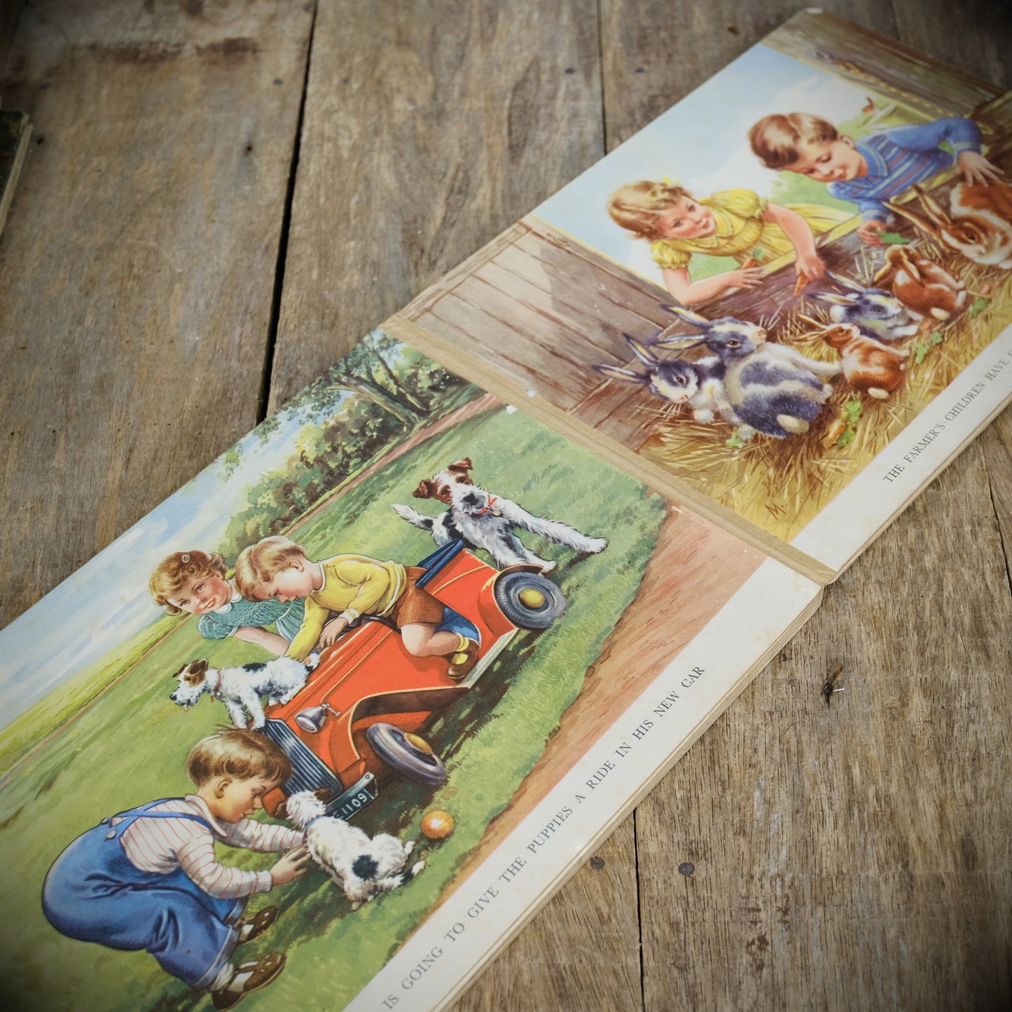 Vintage Children's Board Book, Pets and Playmates, Beautiful Illustrations, Hercules/Thomas Nelson
