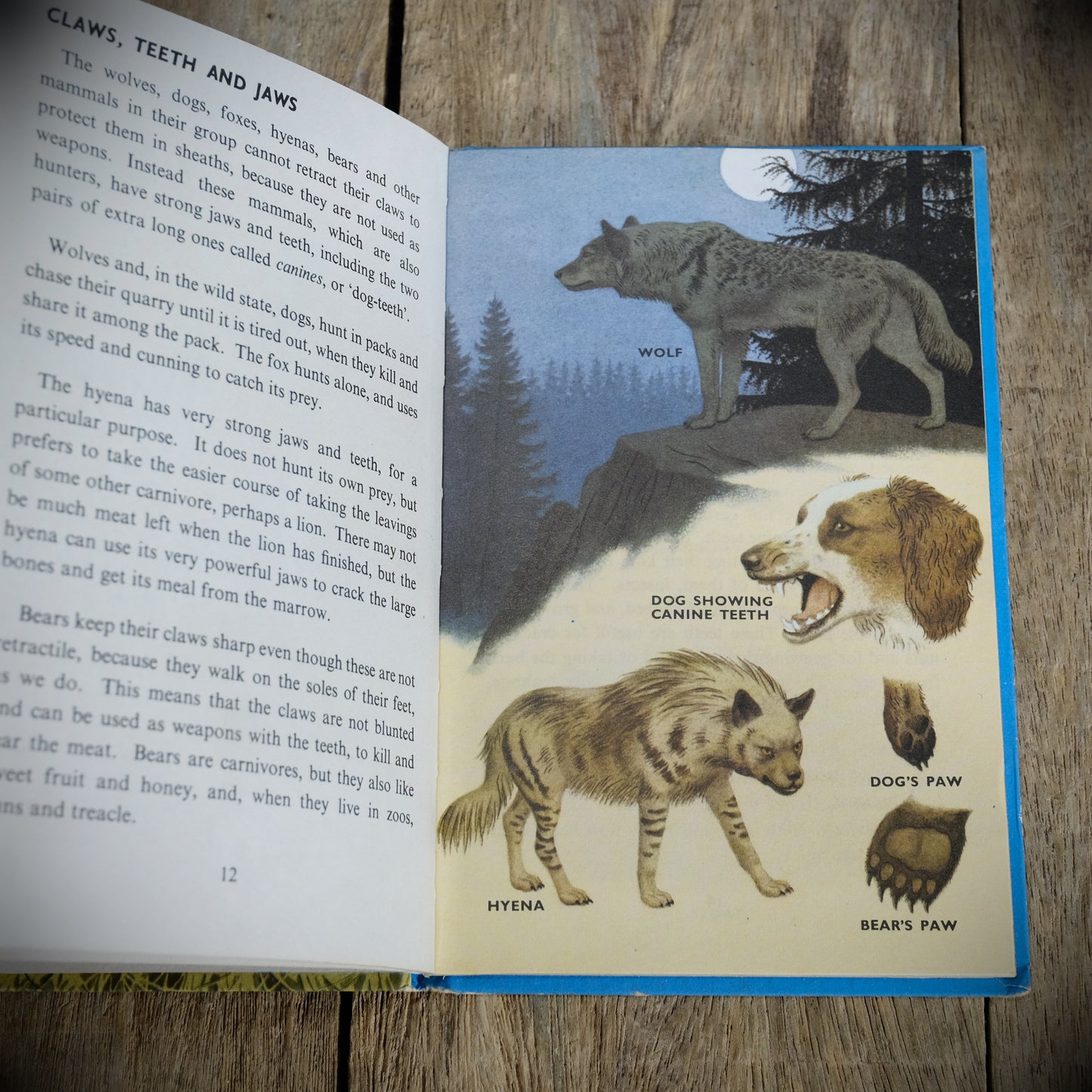 Vintage Ladybird Book, Natural History, Animals and How They Live, 2'6 Issue, Matt, Hardcover