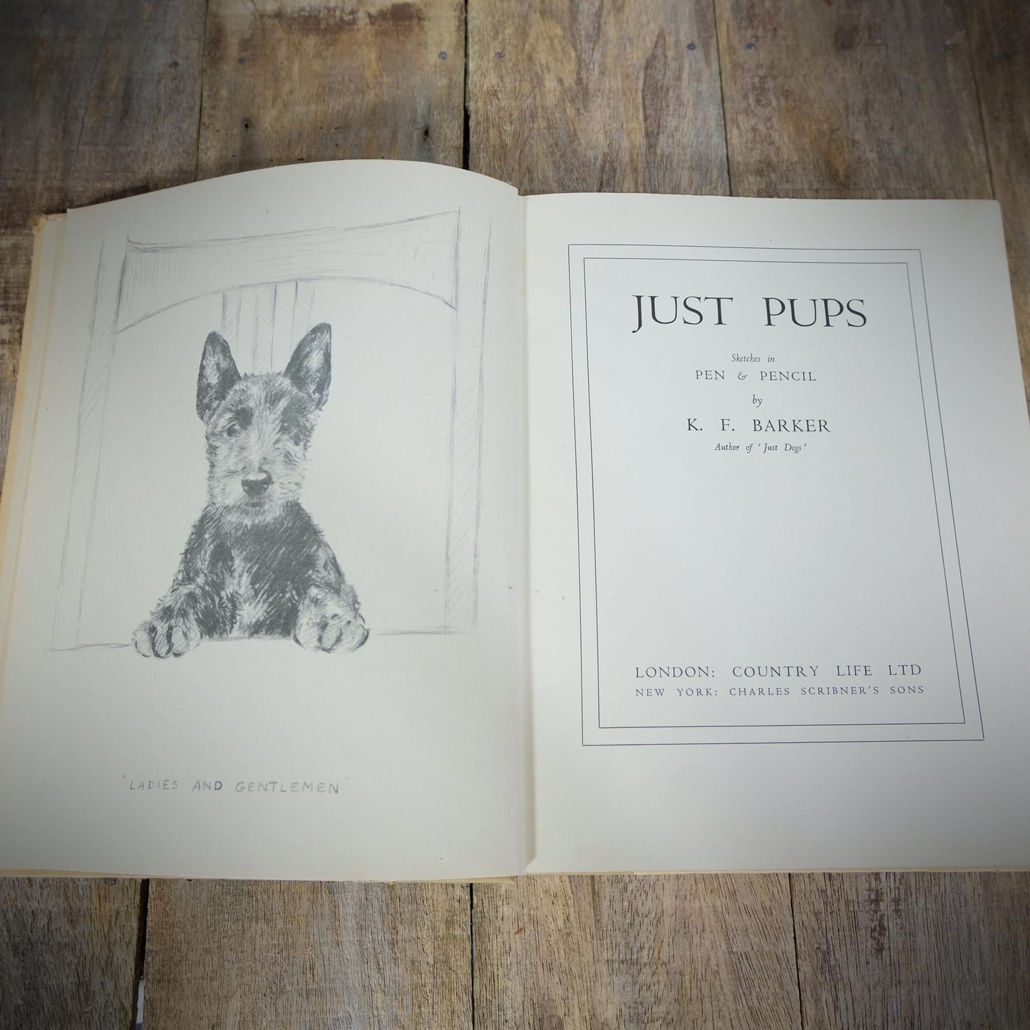 Just Pups, K. F. Barker, Country Life Hardcover 1937, Animal, Dog Art