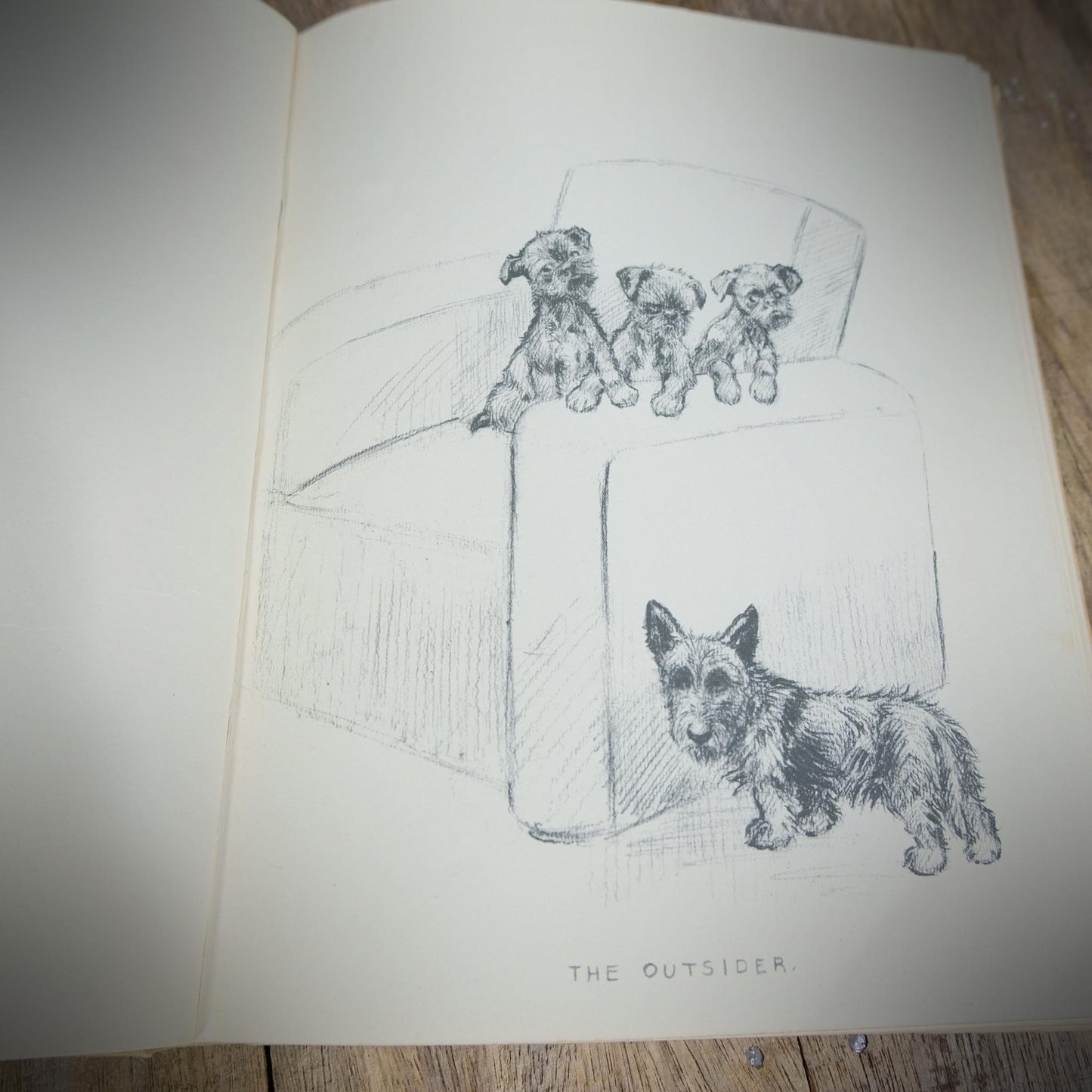 Just Pups, K. F. Barker, Country Life Hardcover 1937, Animal, Dog Art