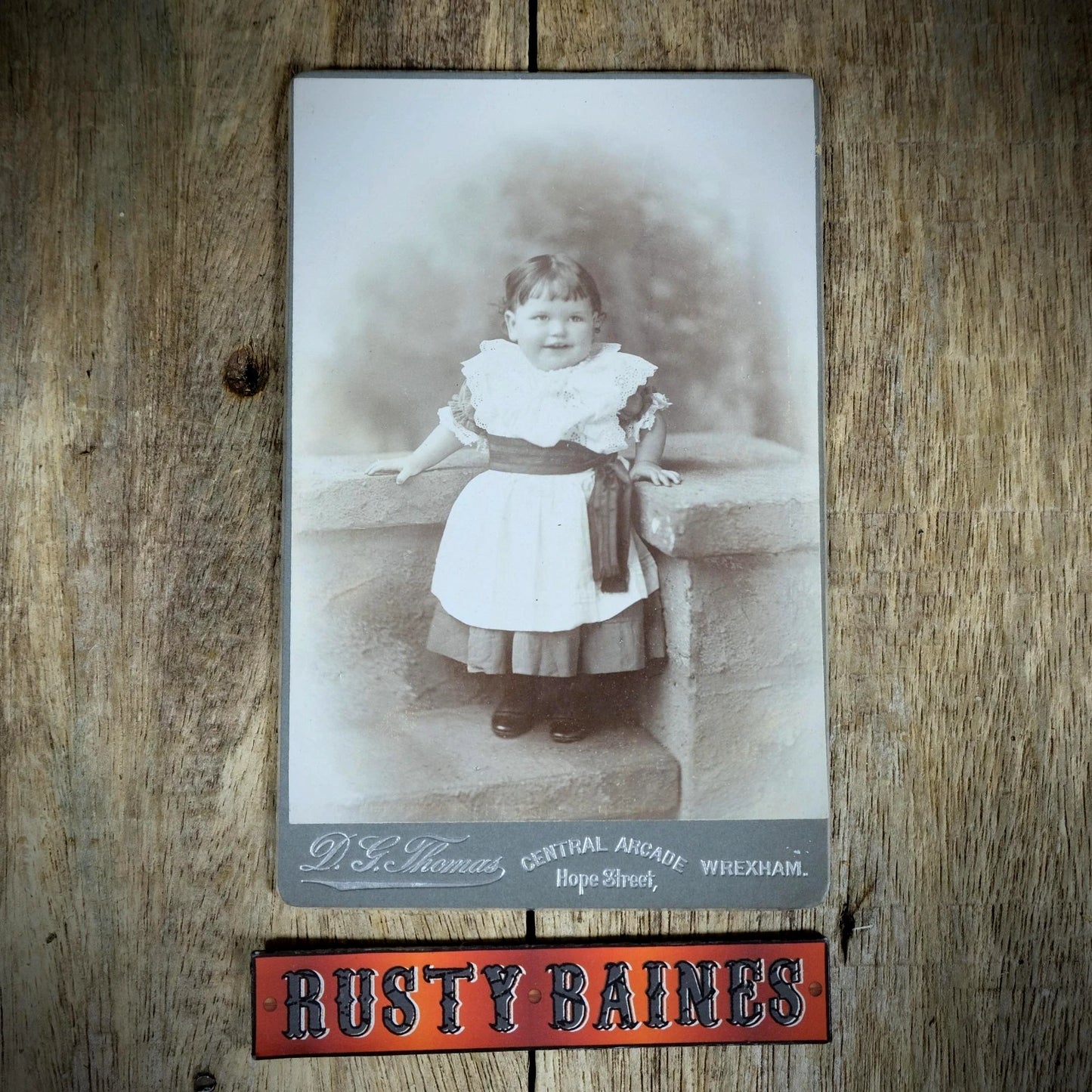 Cabinet Card Victorian Photo, Portrait of Chubby Girl Toddler, Thomas of Wrexham