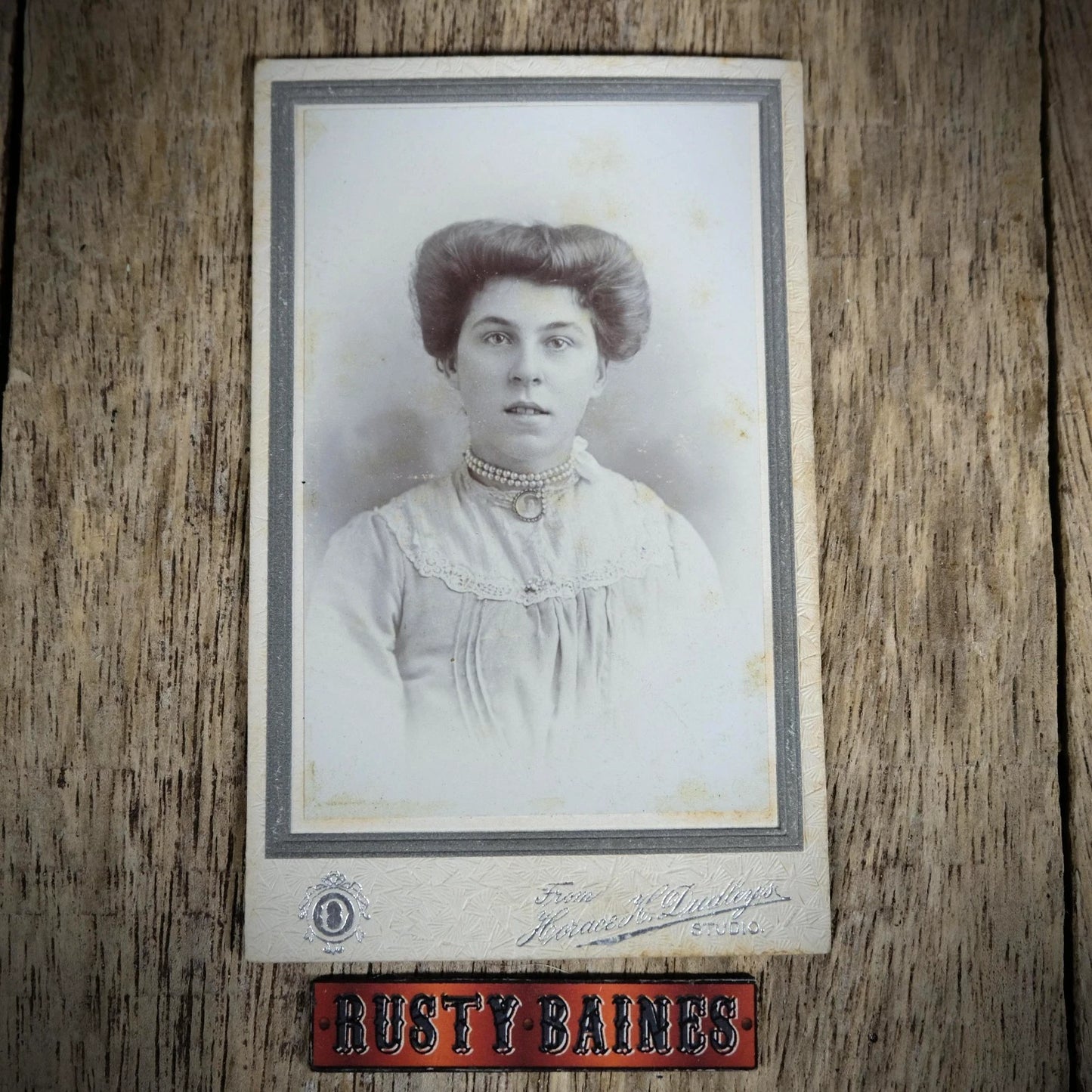 Carte de Visite (CDV) Portrait of Victorian Lady, Great Hair, Horace Dudley