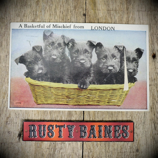 Postcard, Comic, Novelty Pull-Out, Basket of London Dogs Pups, Printed