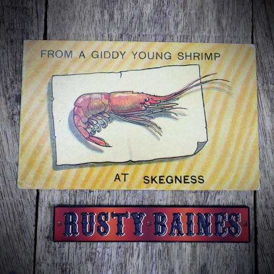 Postcard, Comic, Giddy Shrimp at Skegness
