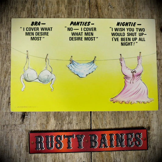 Postcard, Bamforth 145 Washing Line Bra Knickers Nightie