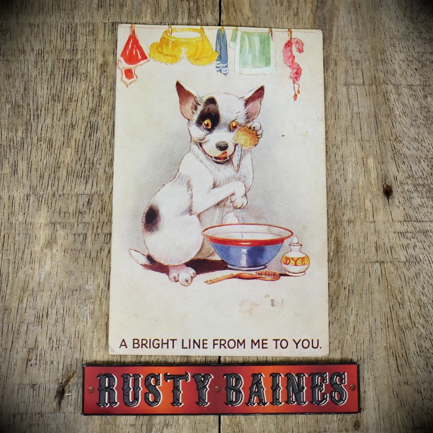 Postcard, Comic, Bright Line Dog, Dyed Laundry Knickers