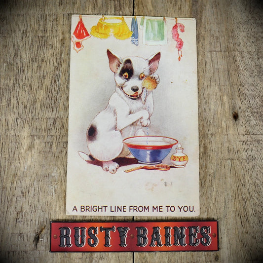 Postcard, Comic, Bright Line Dog, Dyed Laundry Knickers