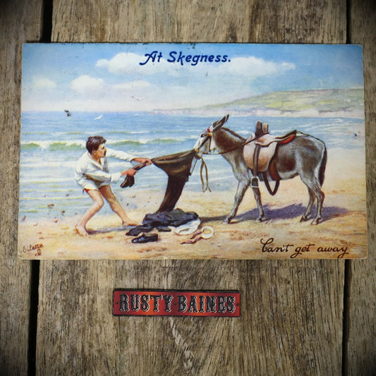Postcard, Comic, Tuck Ripping Time, Donkey Stealing Tourists Trousers