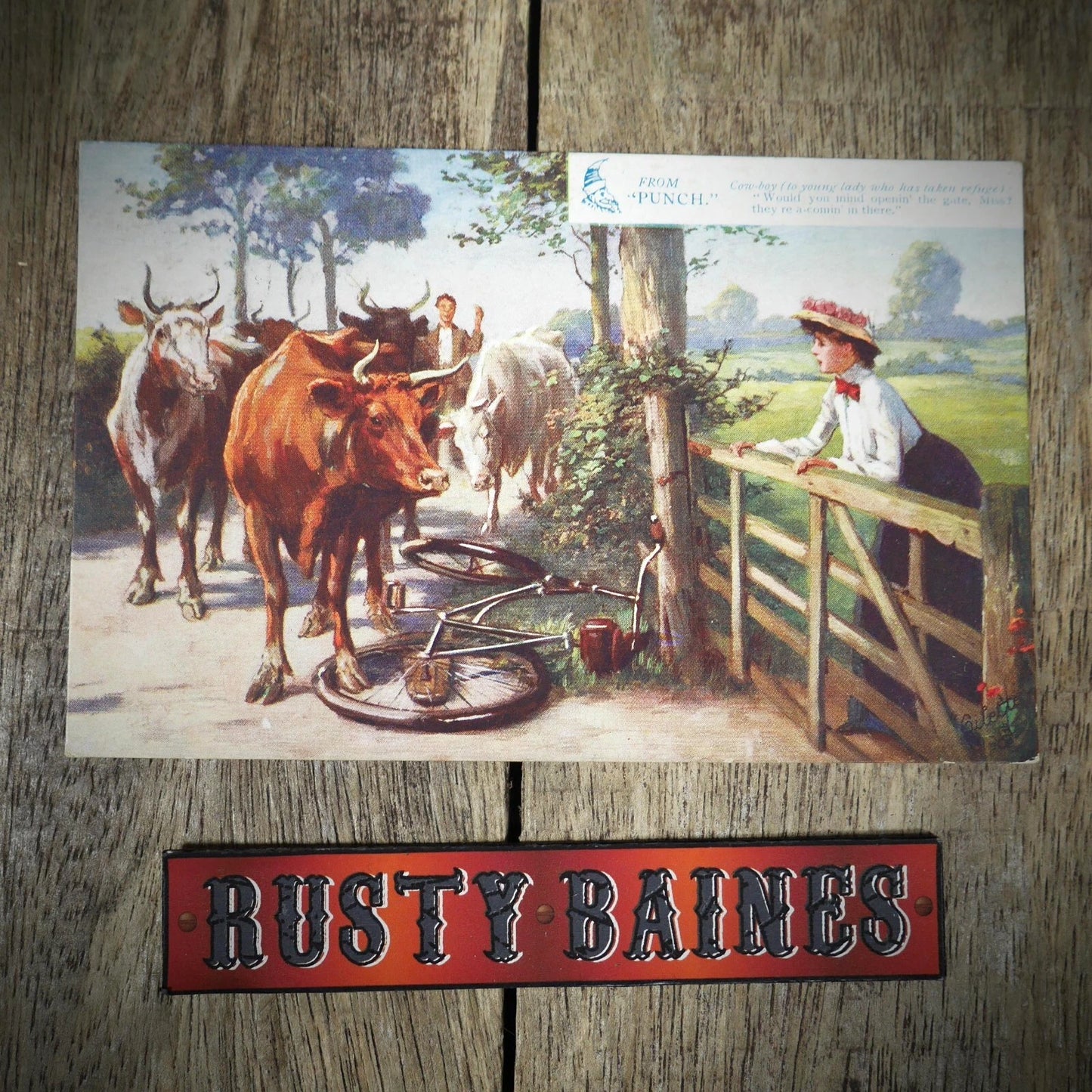 Postcard, Comic from Punch, Edwardian Bicycle, Cow, Cattle, Farmer