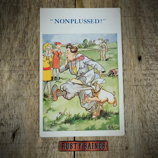 Postcard, Comic/Humour, Man Attacked by Dog on Golf Course