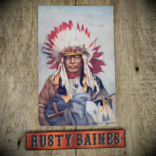 Postcard, American Indian Chief Black Thunder, Tuck Oilette
