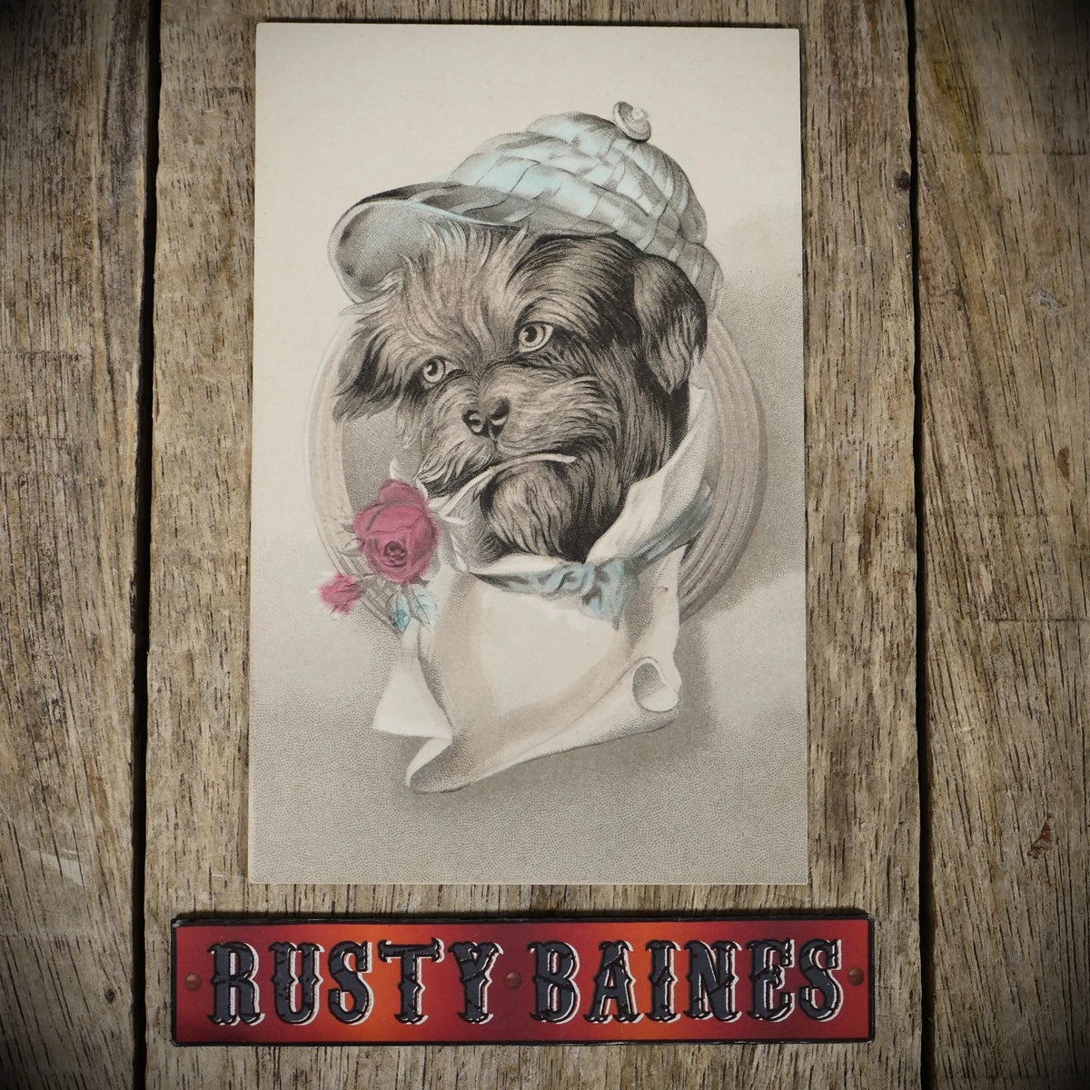 Postcard, Embossed Art Terrier Dog in Hat, Romance, Rose, Printed