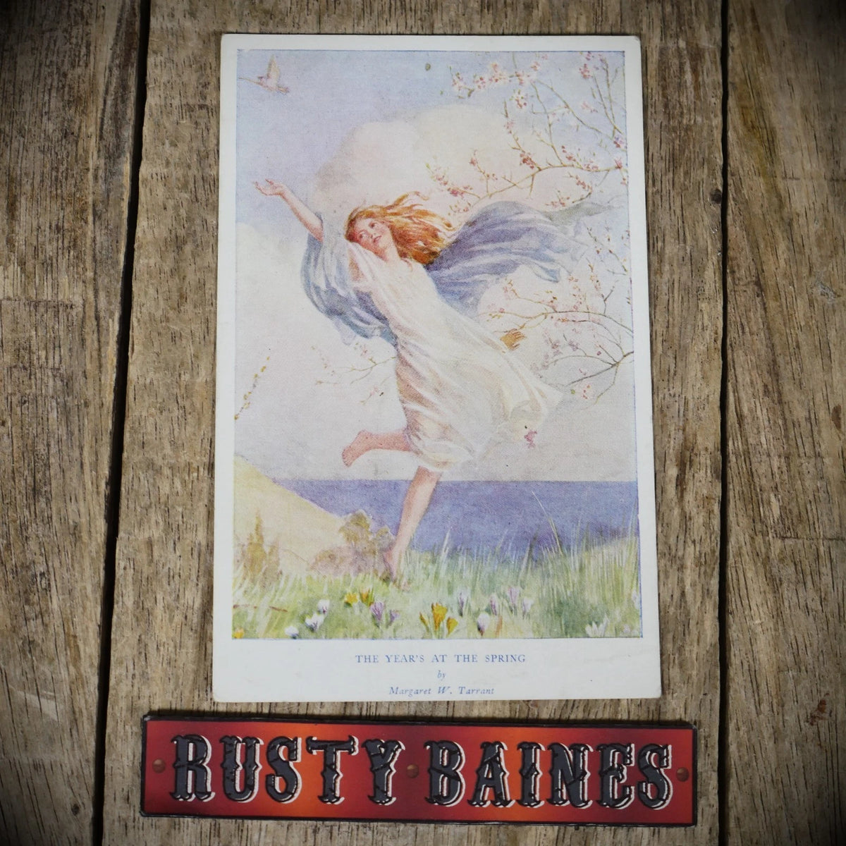 Postcard, Margaret Tarrant, Nature Loving Girl in Spring, Printed