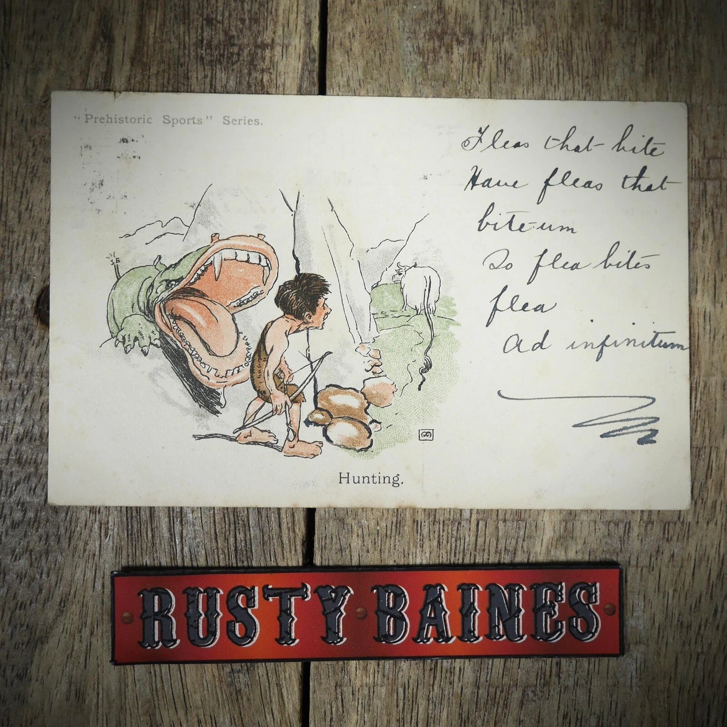 Postcard, Comic, Prehistoric Sports, Hunting, Archery, Wild Animal