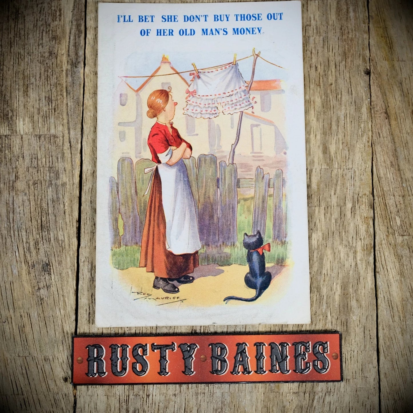 Postcard, Comic, Reg Maurice, Knickers Bloomers Laundry, Cat, Printed