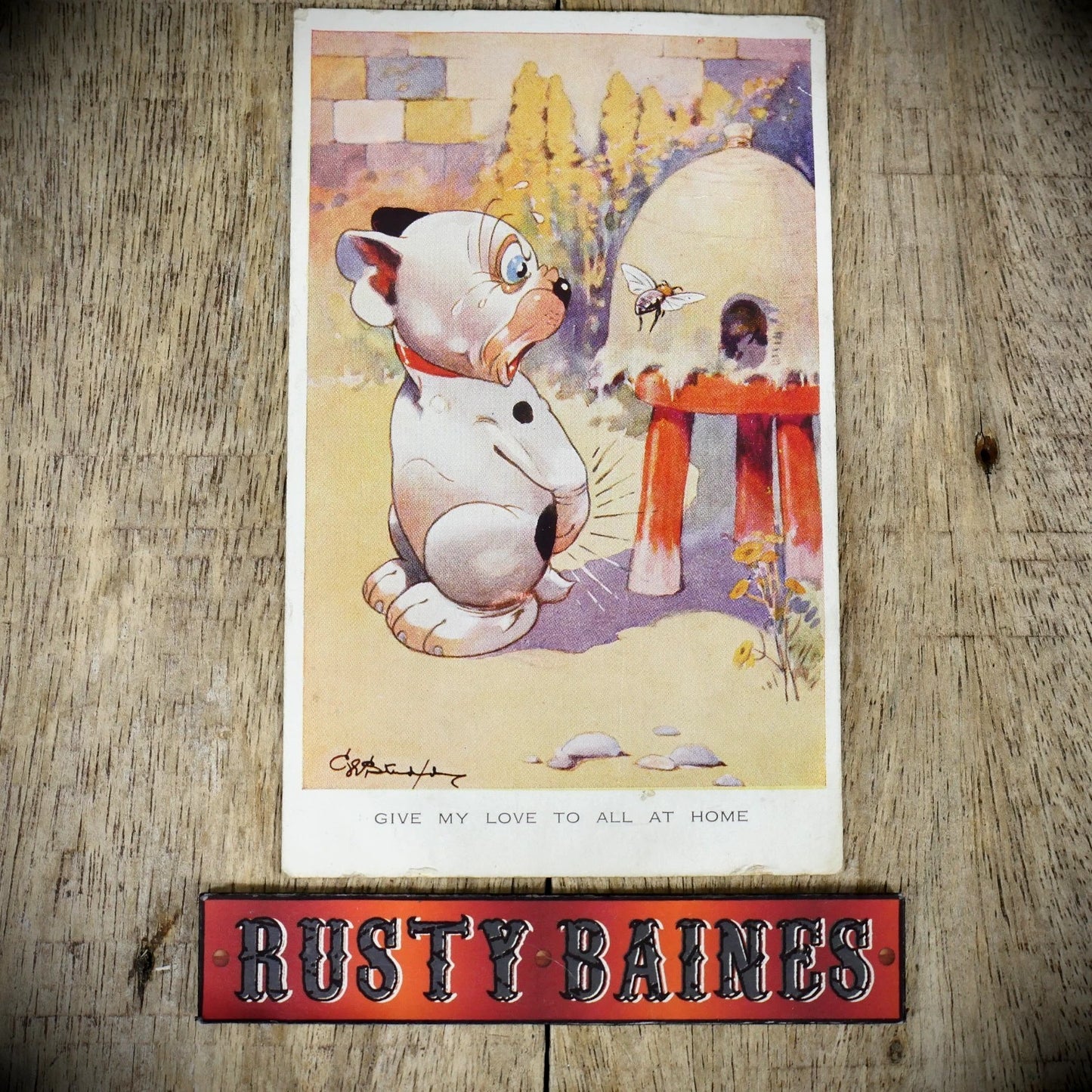 Postcard, Comic, G E Studdy Bonzo Dog, Wasp/Bee Sting