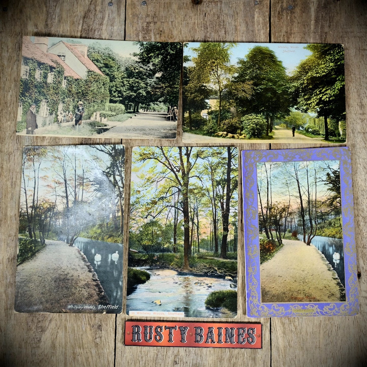 Bundle of Antique Postcards, Sheffield Whiteley Woods