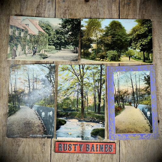 Bundle of Antique Postcards, Sheffield Whiteley Woods