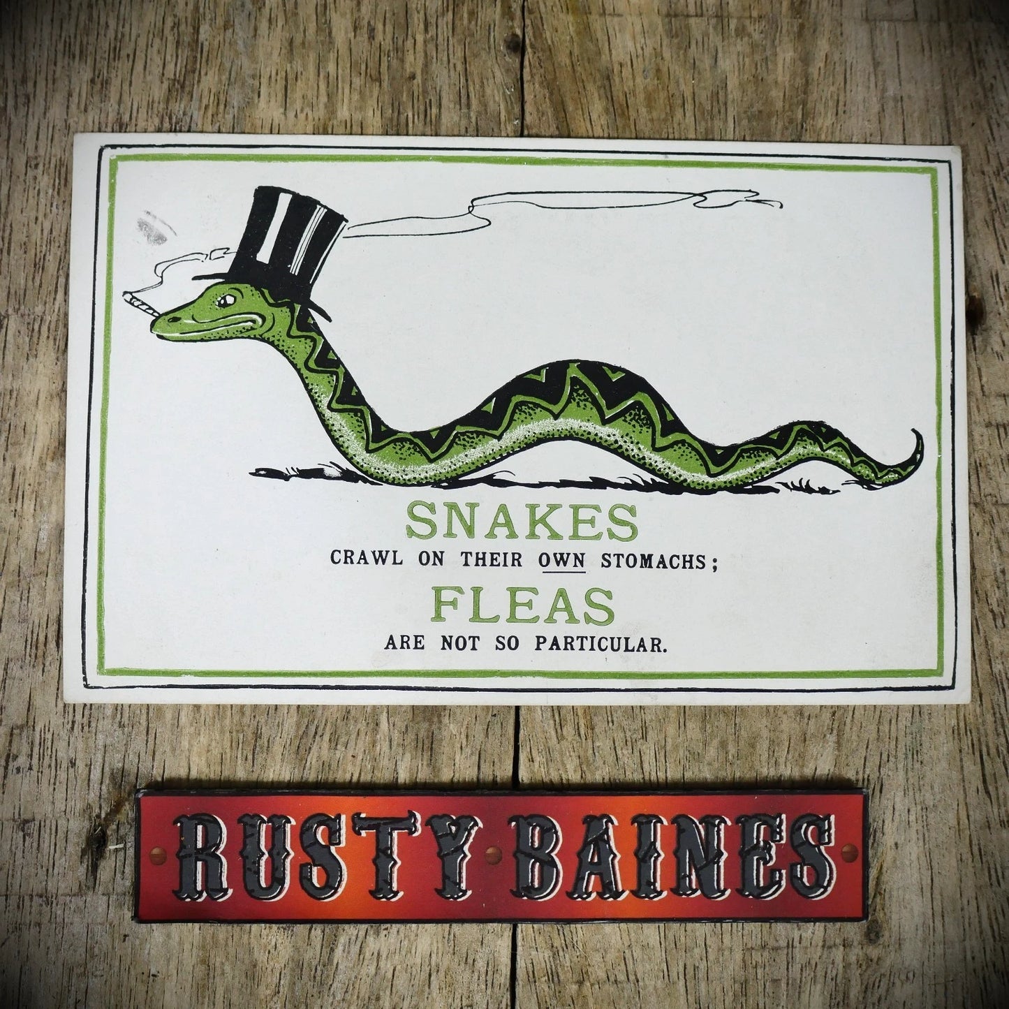 Postcard, Smoking Snake in Top Hat, Fleas