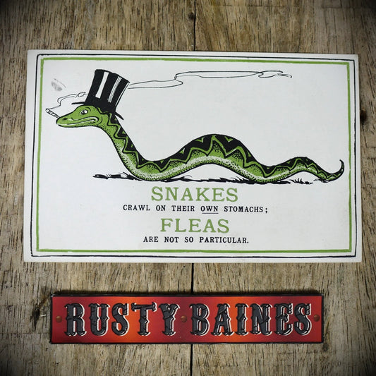 Postcard, Smoking Snake in Top Hat, Fleas