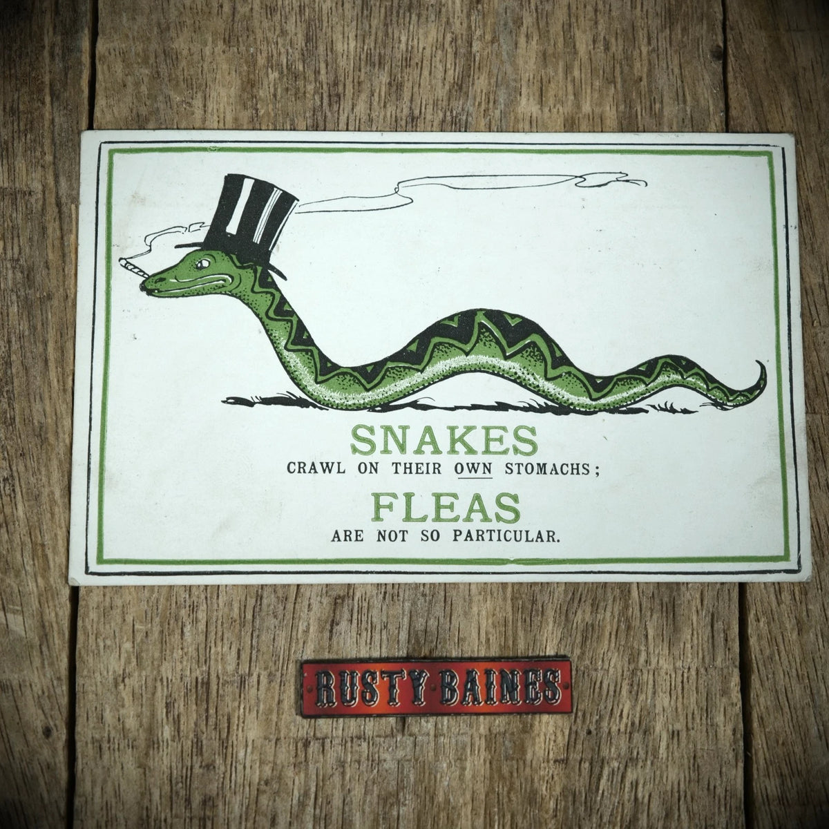 Postcard, Comic, Smoking Snake in Top Hat Crawling, Fleas