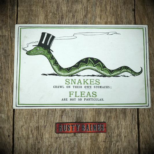 Postcard, Comic, Smoking Snake in Top Hat Crawling, Fleas