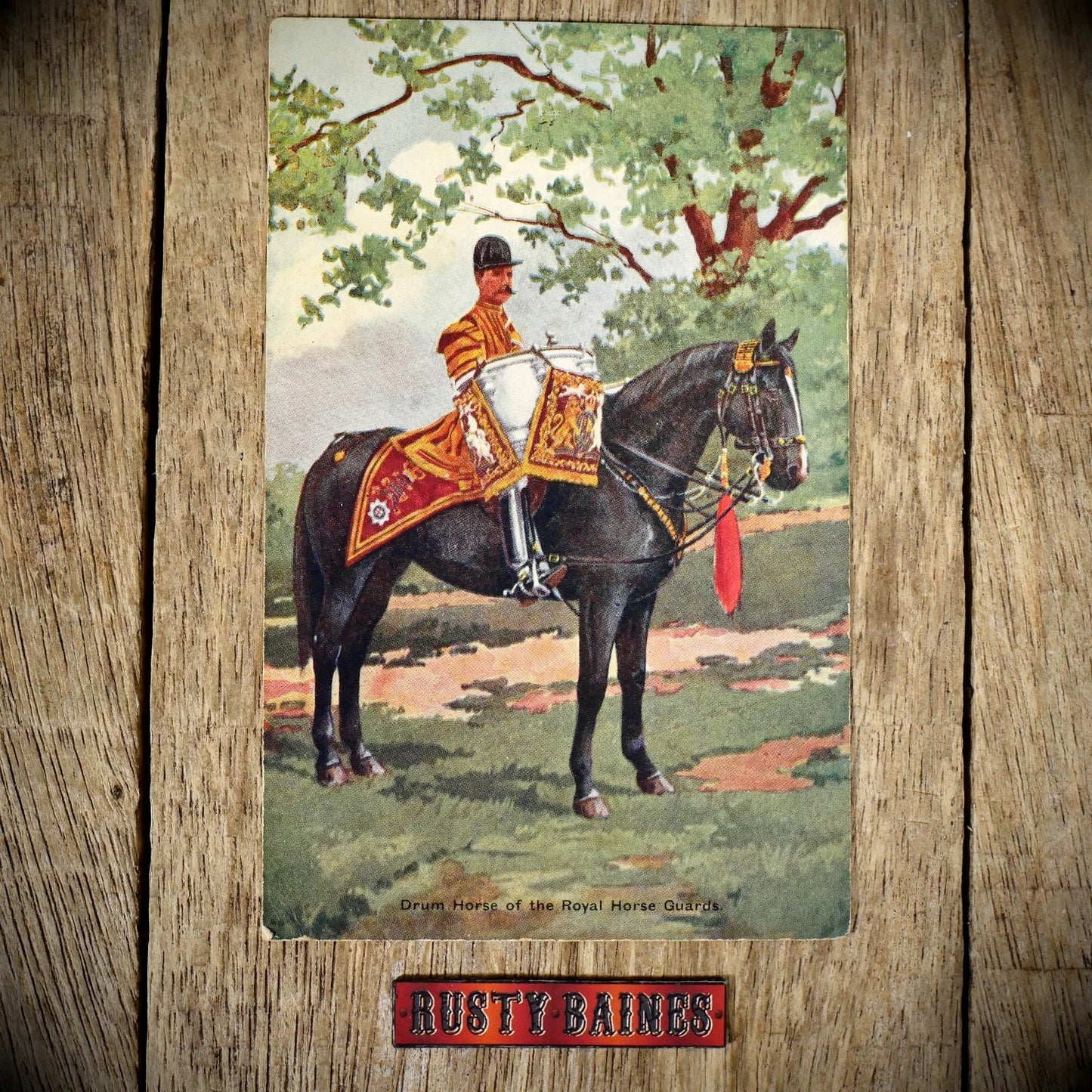 Postcard, Drum Horse of the Royal Horse Guards 1908