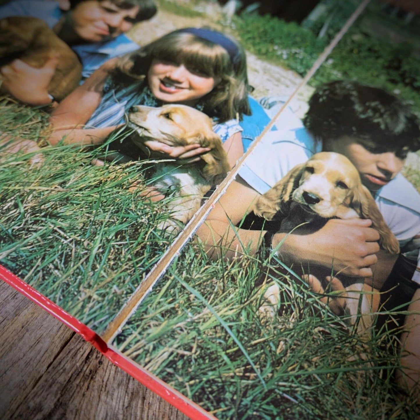 Look-In Television Hardcover Annual 1979