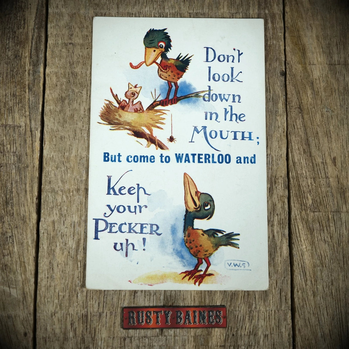 Postcard, Comic, Come to Waterloo, Keep Your Pecker Up, Birds