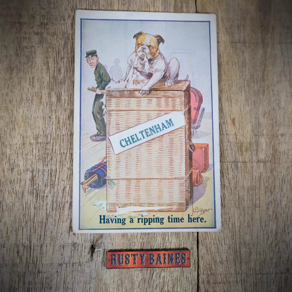 Vintage Postcard, Novelty Pull-Out, Destructive Bulldog, Cheltenham