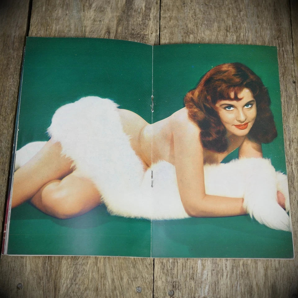 Carnival #17 Pocket Pin-Up Glamour Photography Magazine, Lingerie/Stockings