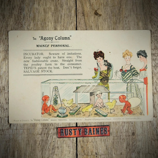 Postcard, Misch & Stock Agony Column, Baby Poultry Incubator
