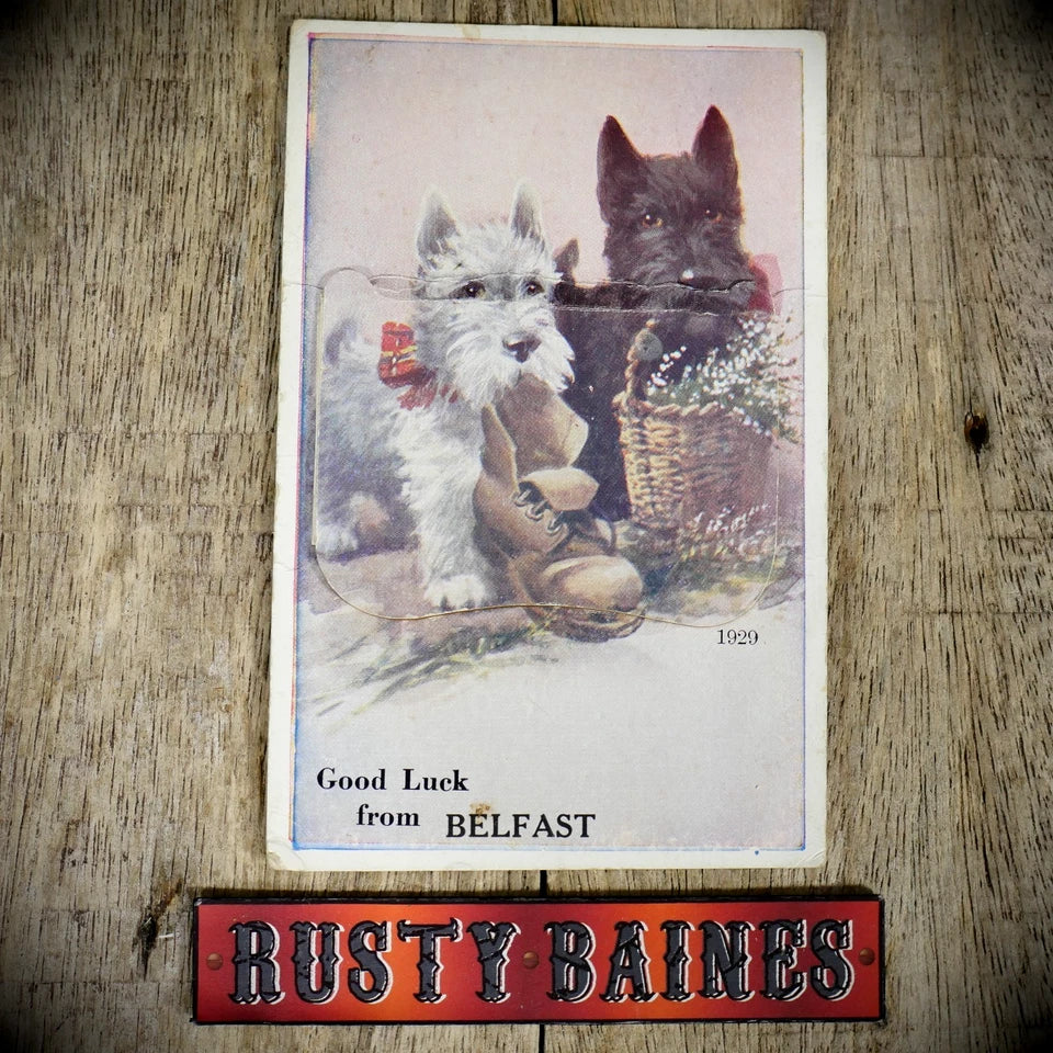 Postcard, Novelty Pull-Out, Belfast Dogs, Good Luck, Printed