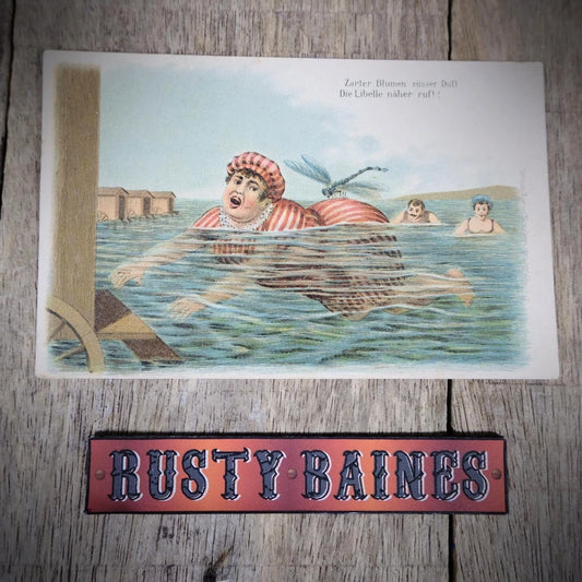 Postcard, German Comic, Chromo, Dragonfly on Lady Bather